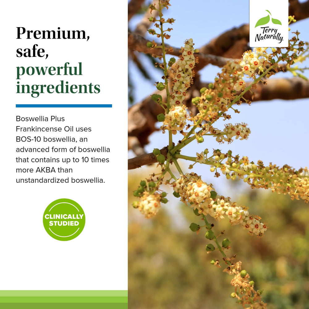 Terry Naturally softgels held in hand for daily use