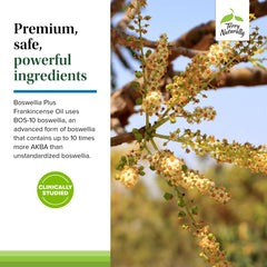 Terry Naturally softgels held in hand for daily use