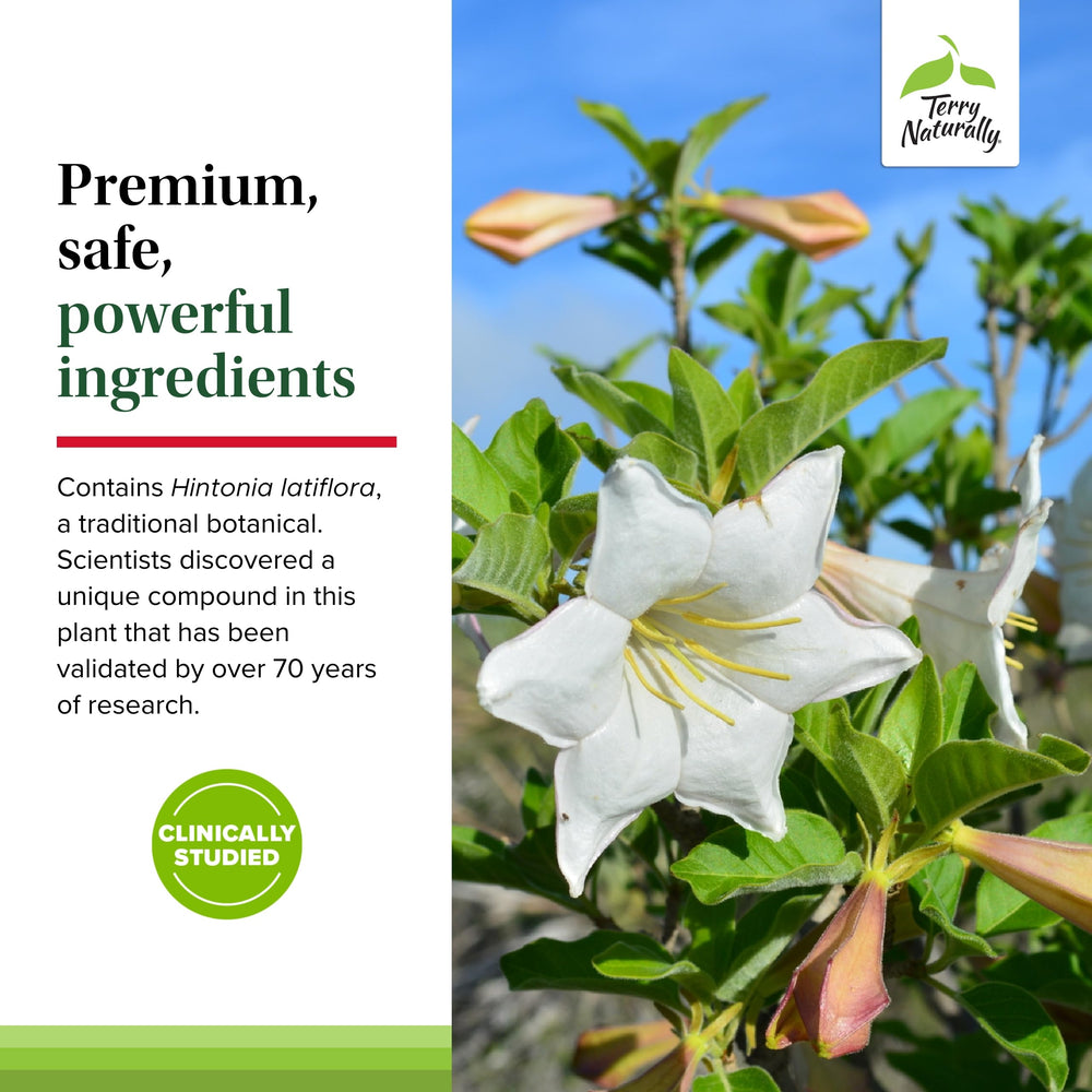 Ingredients panel emphasizing B vitamins and folate for energy metabolism support