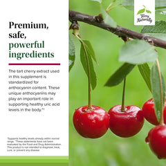 Terry Naturally Tart Cherry vegan capsules for allergen-friendly use.