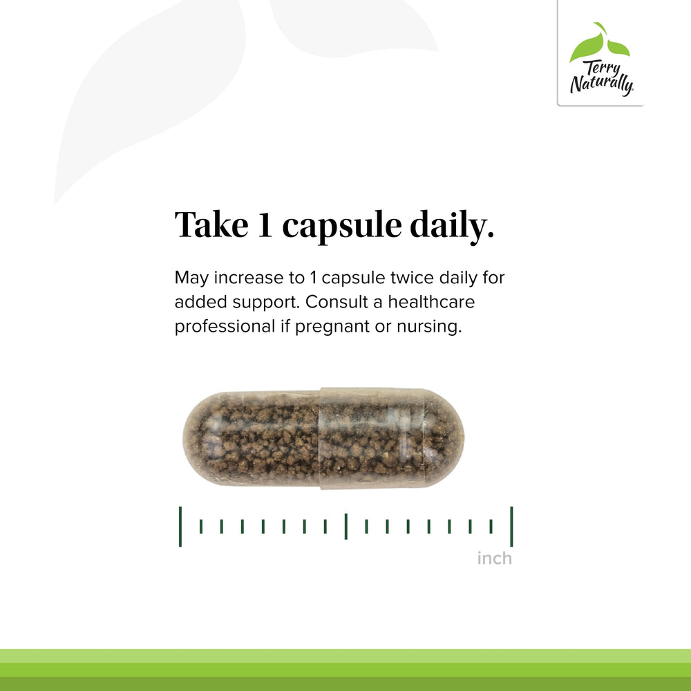 Terry Naturally Vectomega no-burp formula provides comfortable omega-3 intake