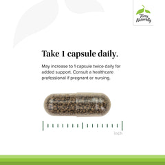 Terry Naturally Vectomega no-burp formula provides comfortable omega-3 intake