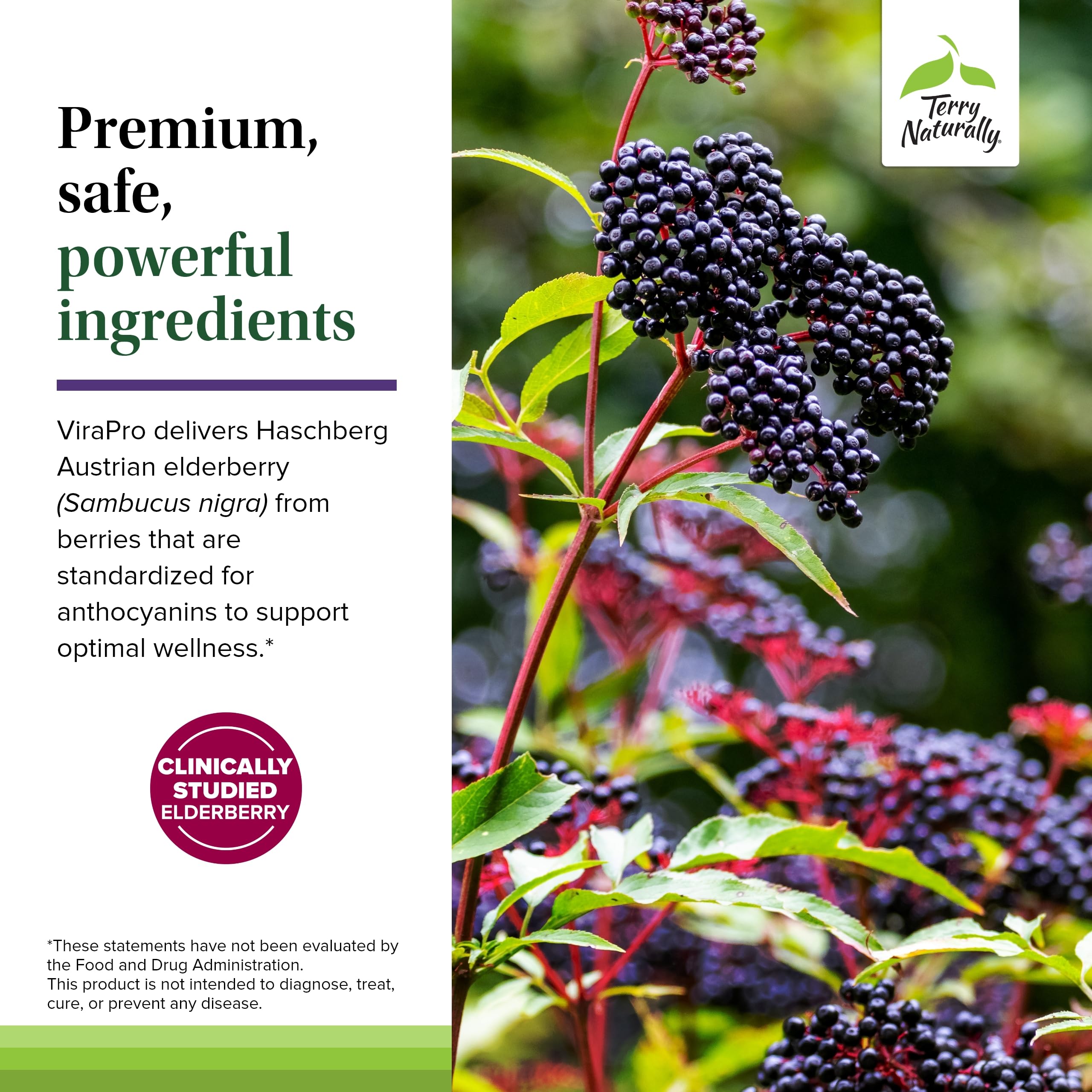 Terry Naturally ViraPro immunity scene with daily tablet routine