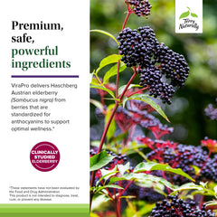 Terry Naturally ViraPro immunity scene with daily tablet routine