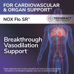 Tesseract NOX Flo SR capsules ready for daily intake and circulation support
