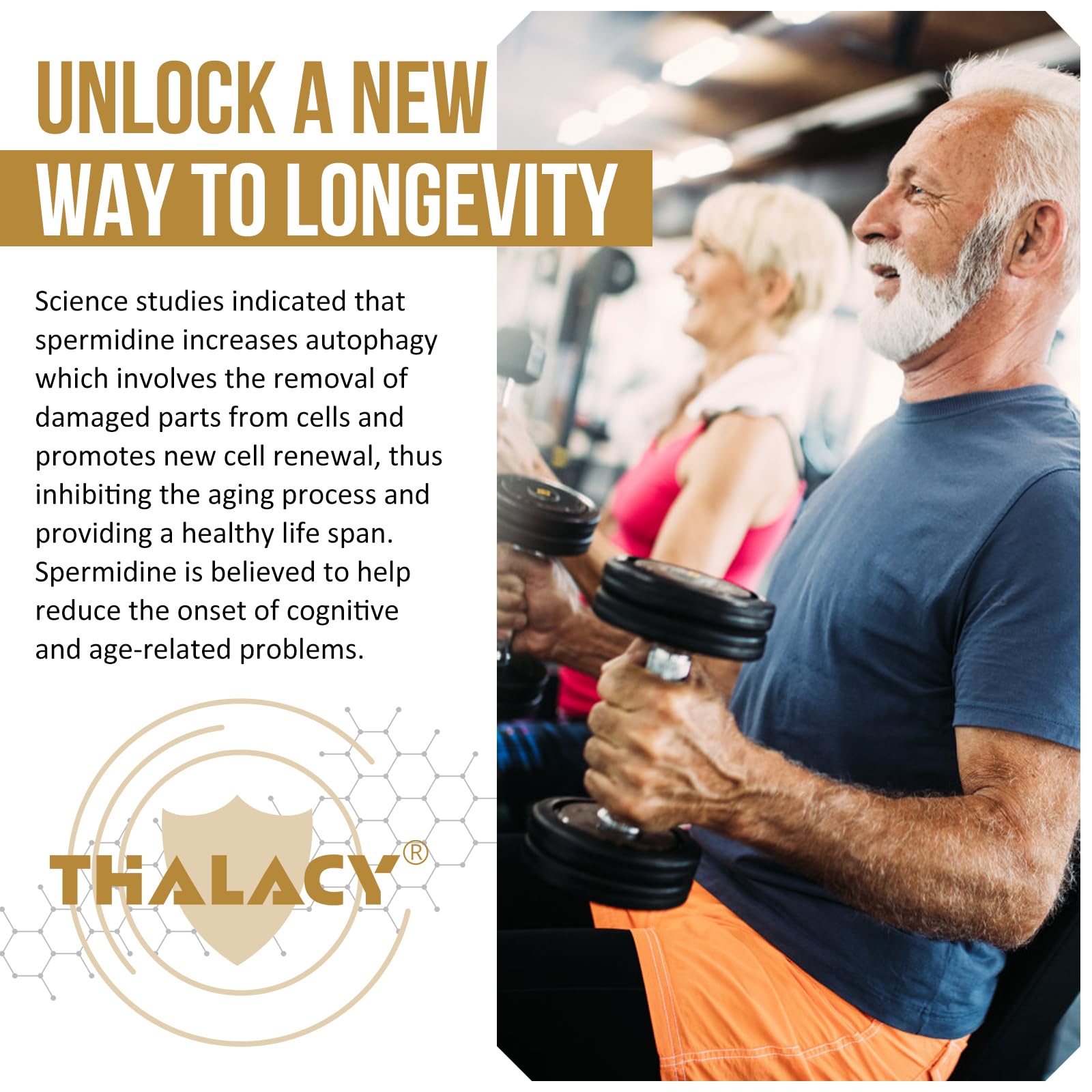 Thalacy vegan formulation seal on packaging.