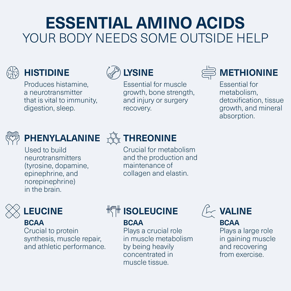 The Amino Co Heal chocolate powder in a shaker after workout for quick recovery.