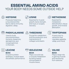 The Amino CO Purity kidney and liver support graphic for overall wellness