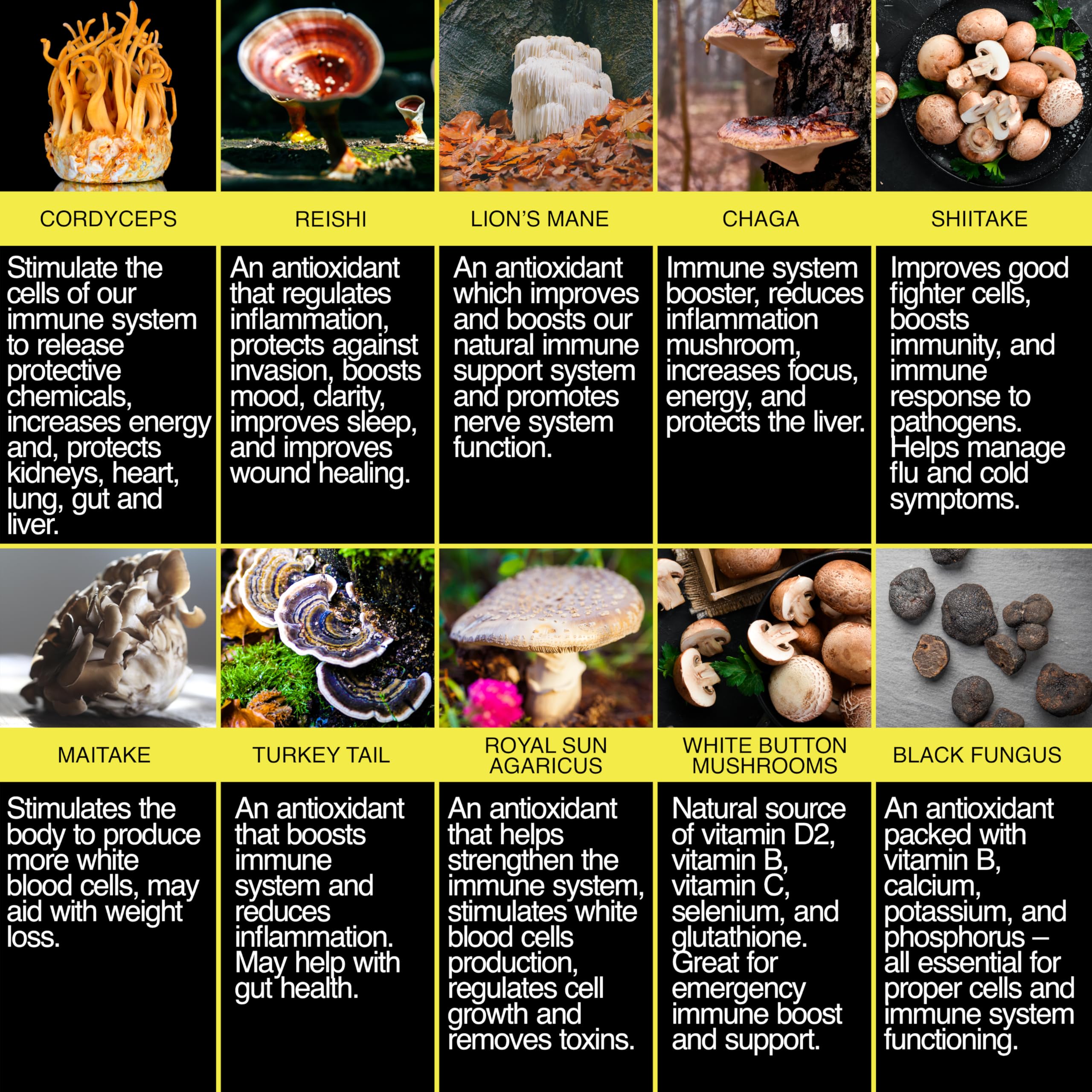 The Enclare Nutrition Mushroom 10in1 bottle — vegan, gluten-free packaging emphasis.