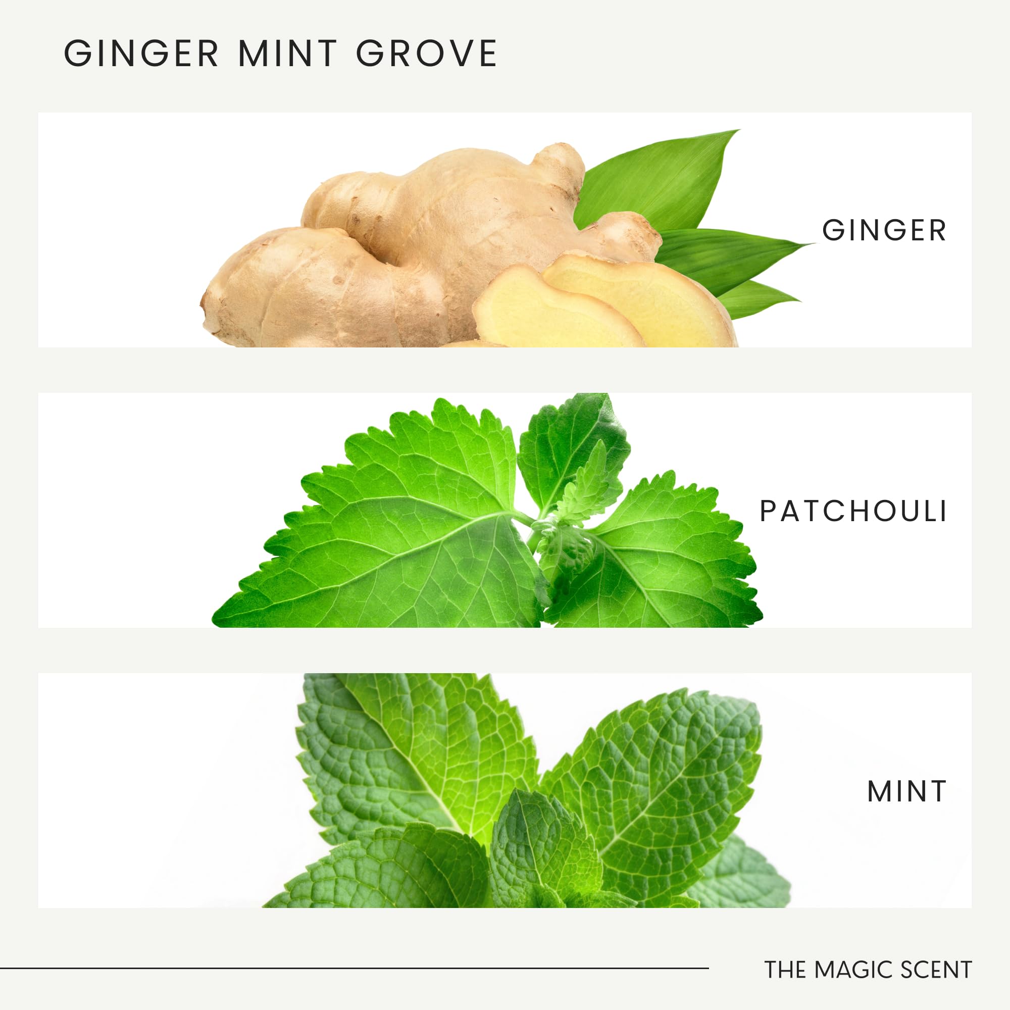 The Magic Scent Ginger Mint Grove diffuser in a hotel or home setting