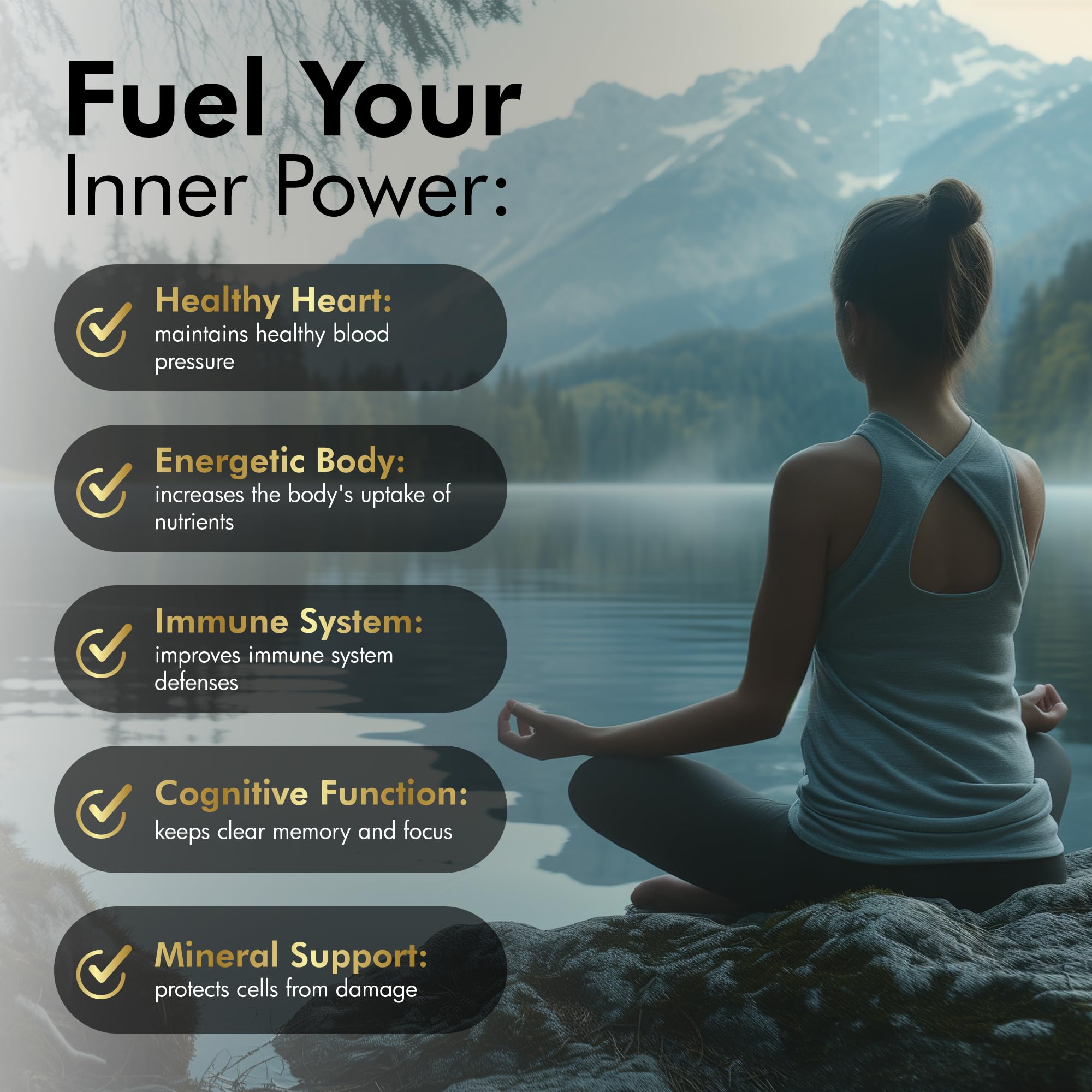 The MONK Shilajit Gummies ingredient panel reveals fulvic and humic acids with 85+ minerals.