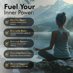The MONK Shilajit Gummies ingredient panel reveals fulvic and humic acids with 85+ minerals.