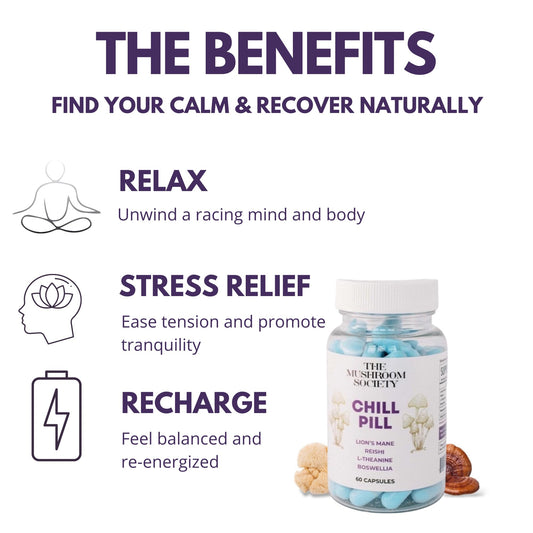 The Mushroom Society Chill Pill bottle and capsules scene promotes calm in daily routines.