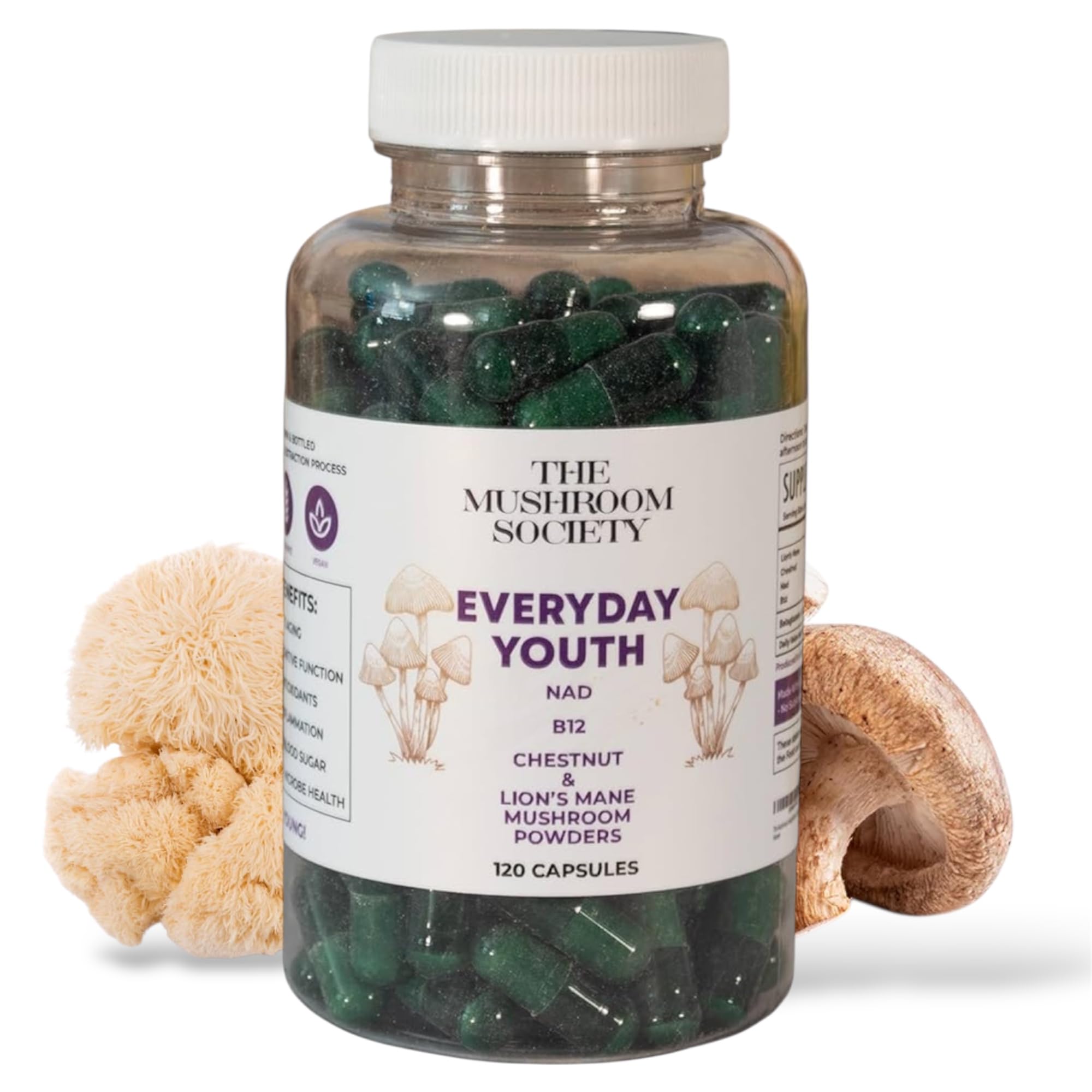 The Mushroom Society Everyday Youth bottle front, showcasing the brain energy blend.