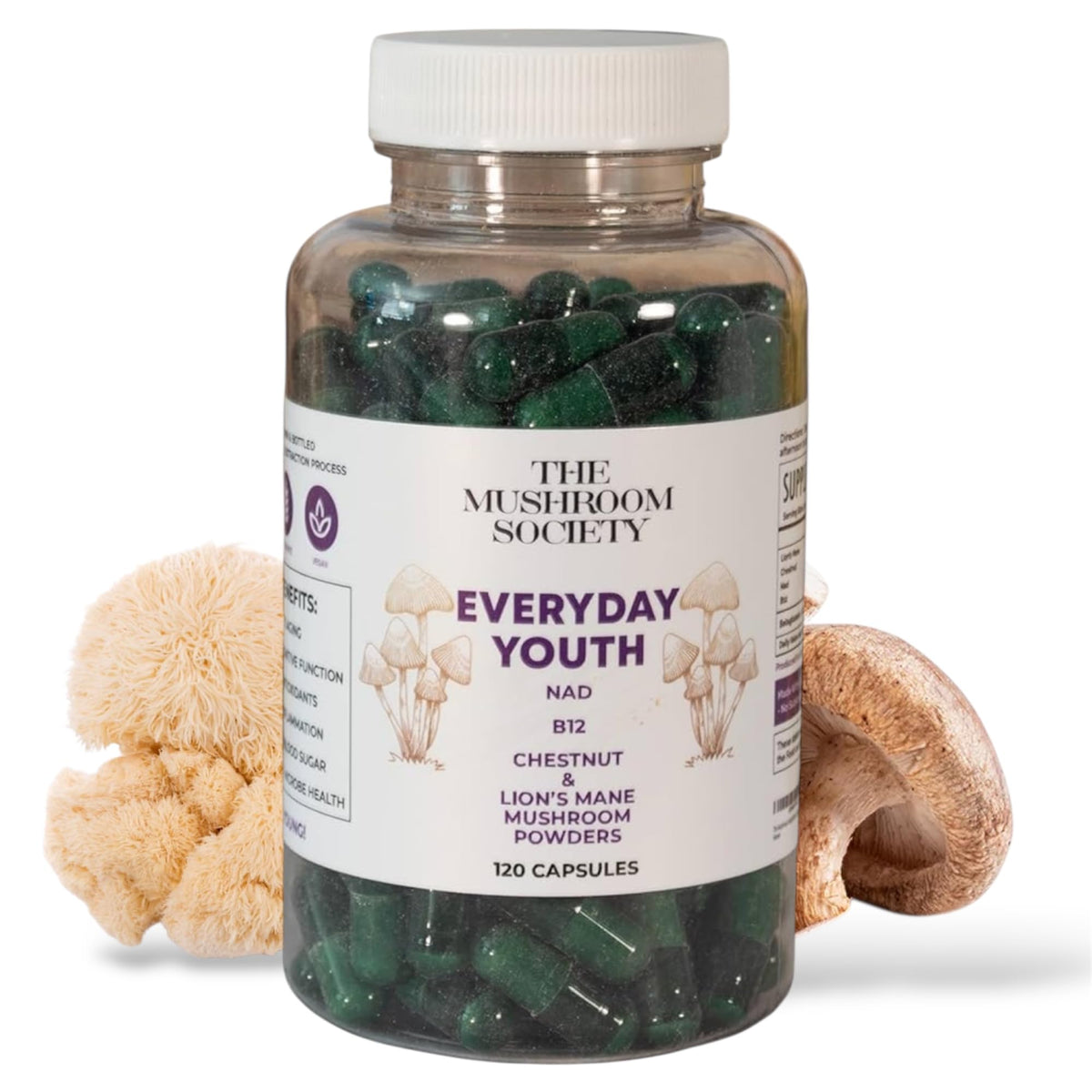 The Mushroom Society Everyday Youth bottle front, showcasing the brain energy blend.