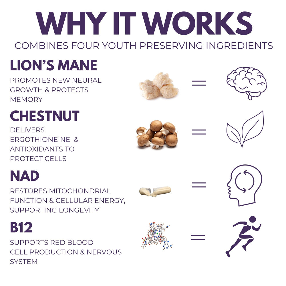 Chestnut mushroom in Everyday Youth, antioxidant support from ergothioneine.