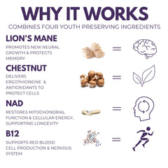 Chestnut mushroom in Everyday Youth, antioxidant support from ergothioneine.