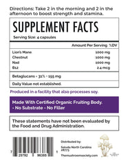 Lion’s Mane extract in Everyday Youth supports cognitive health.