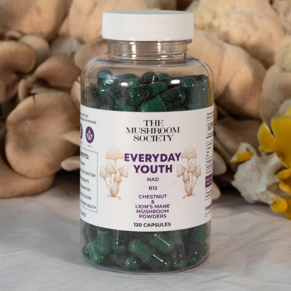 Vegan Everyday Youth capsules for a daily mind and body ritual.