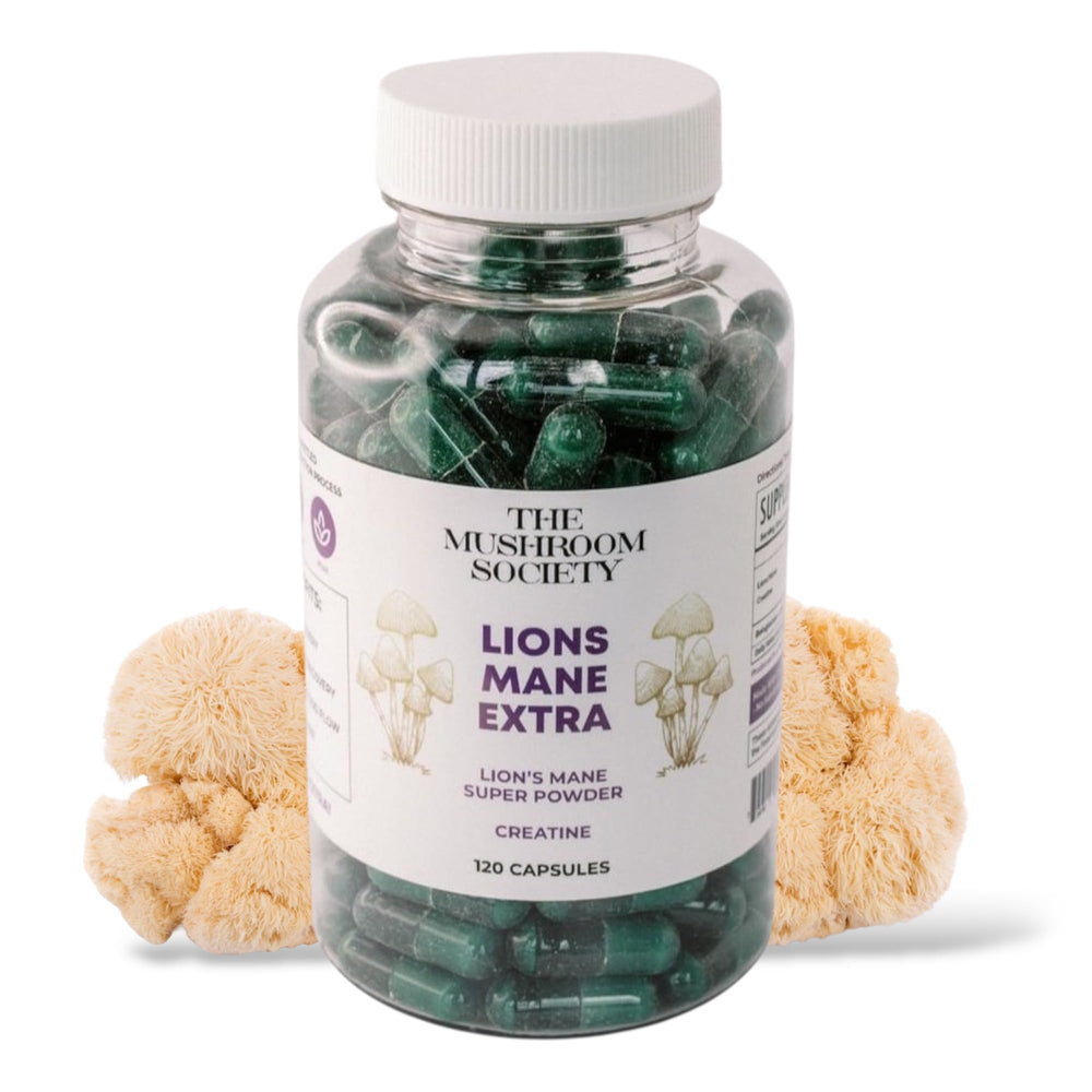 The Mushroom Society Lion’s Mane Extra bottle front view for sustained mental energy