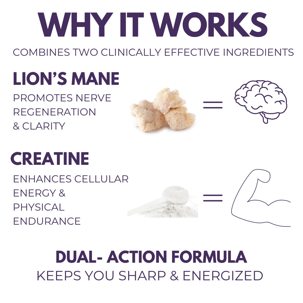 The Mushroom Society Lion’s Mane Extra daily routine flatlay supports focused work