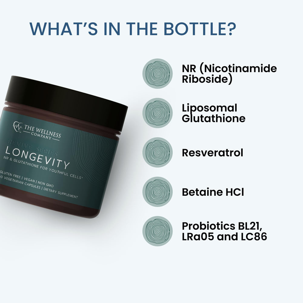The Wellness Company Longevity bifidobacterium bottle promotes gut-friendly probiotic support.