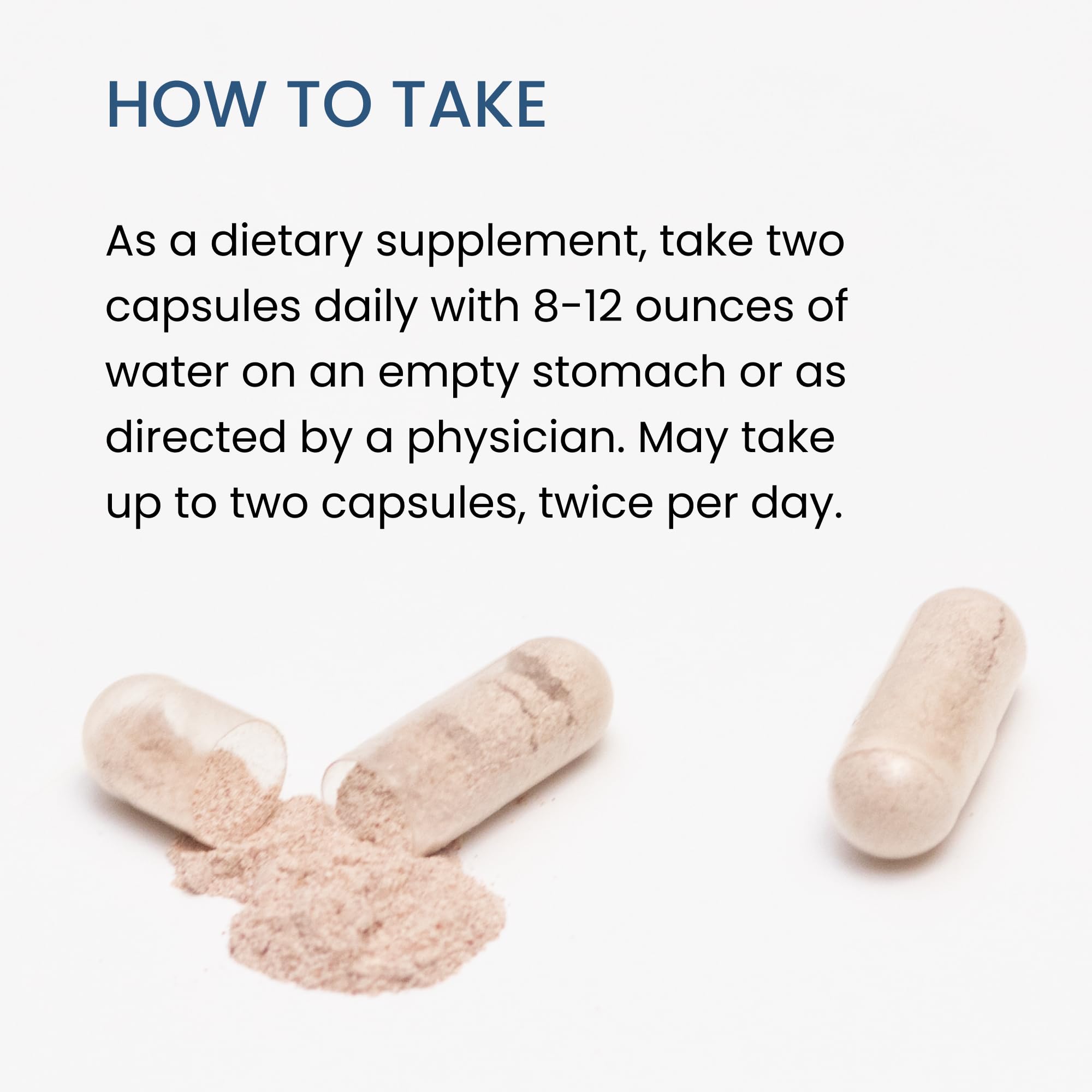 The Wellness Company Spike Support black sativa extract close-up with absorption focus