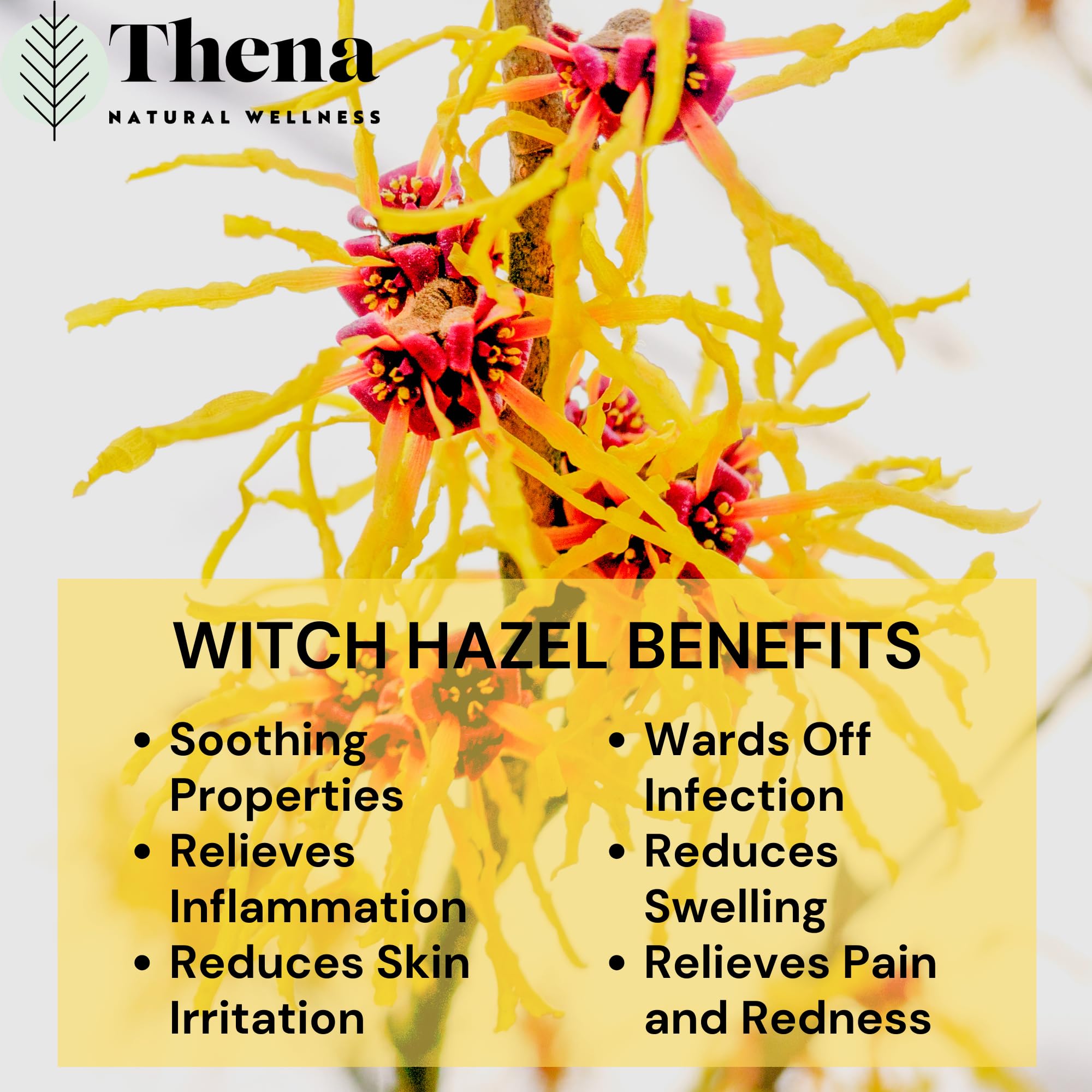 THENA Postpartum comfort focus image signals natural care after delivery.