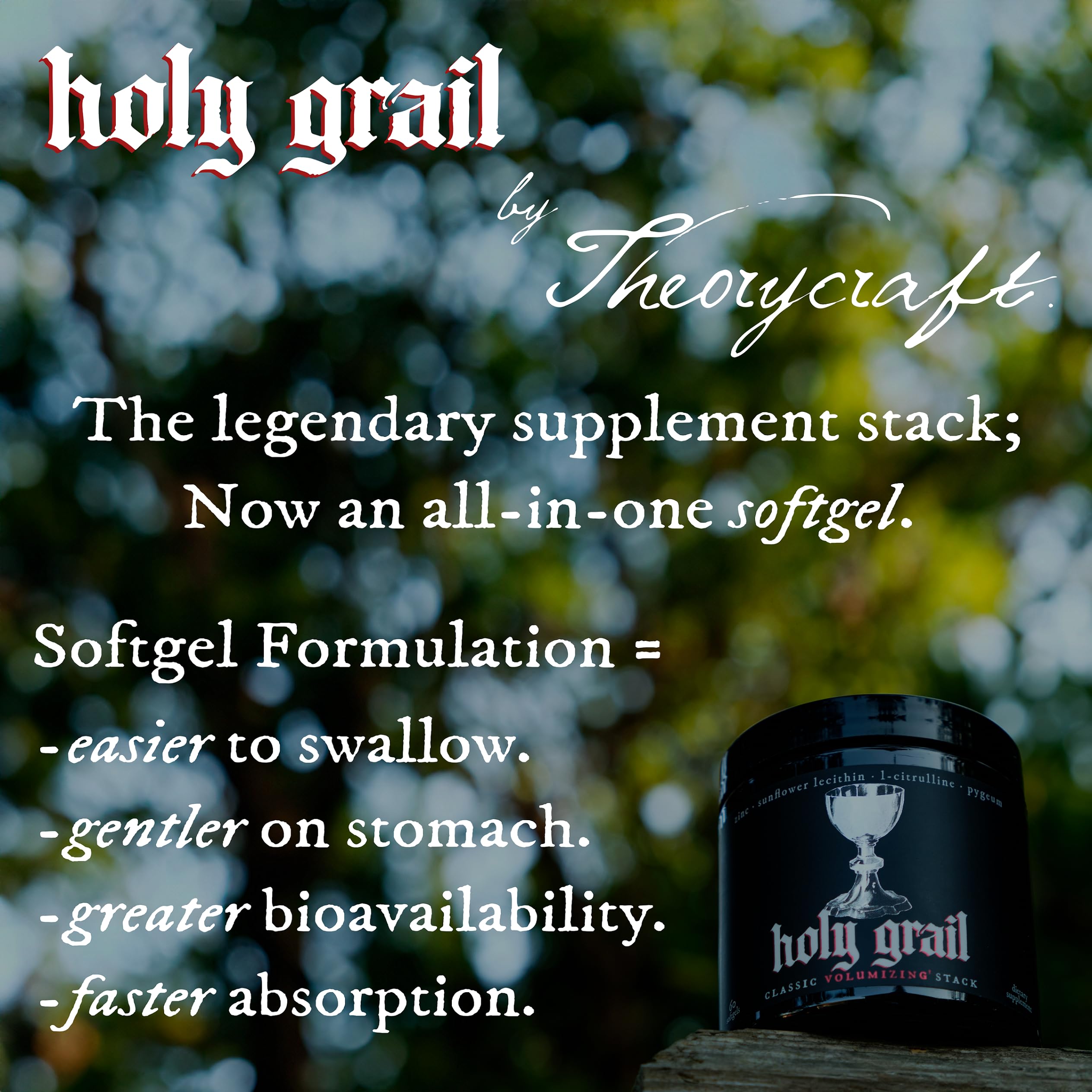 Theorycraft Holy Grail Pygeum and zinc details featured for prostate health support.