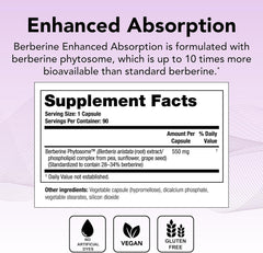Theralogix Berberine Phytosome capsules ready for daily wellness