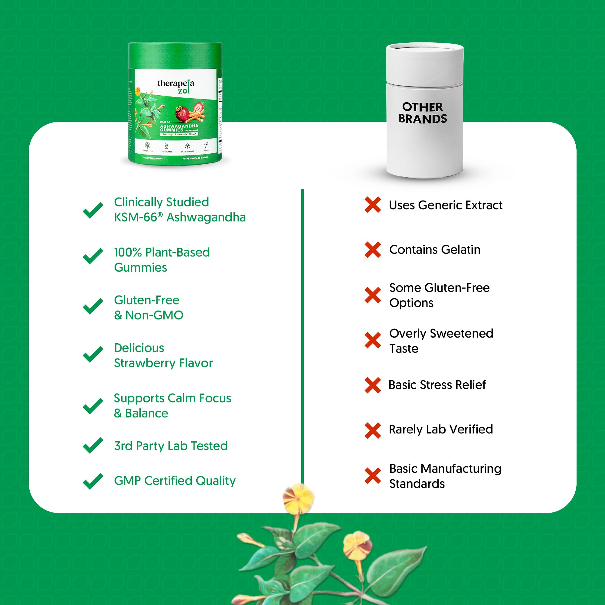 Therapeia Zoi GMP-certified facility and third-party testing label