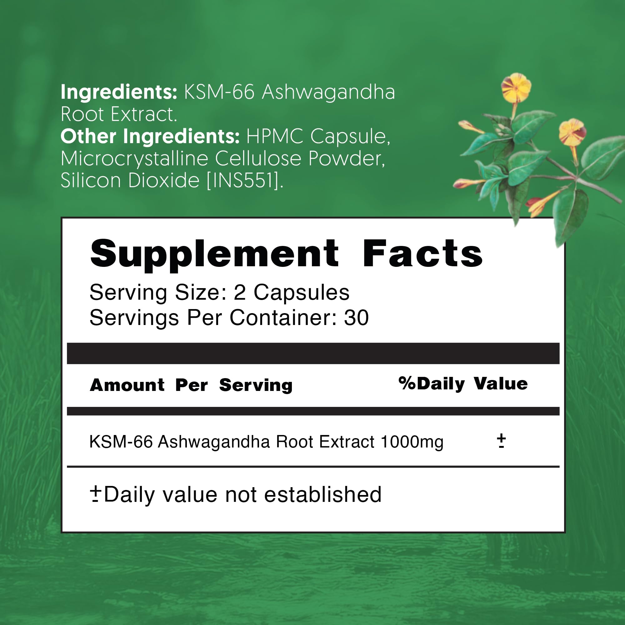 Therapeia Zoi quality-commitment messaging and support contact on bottle.
