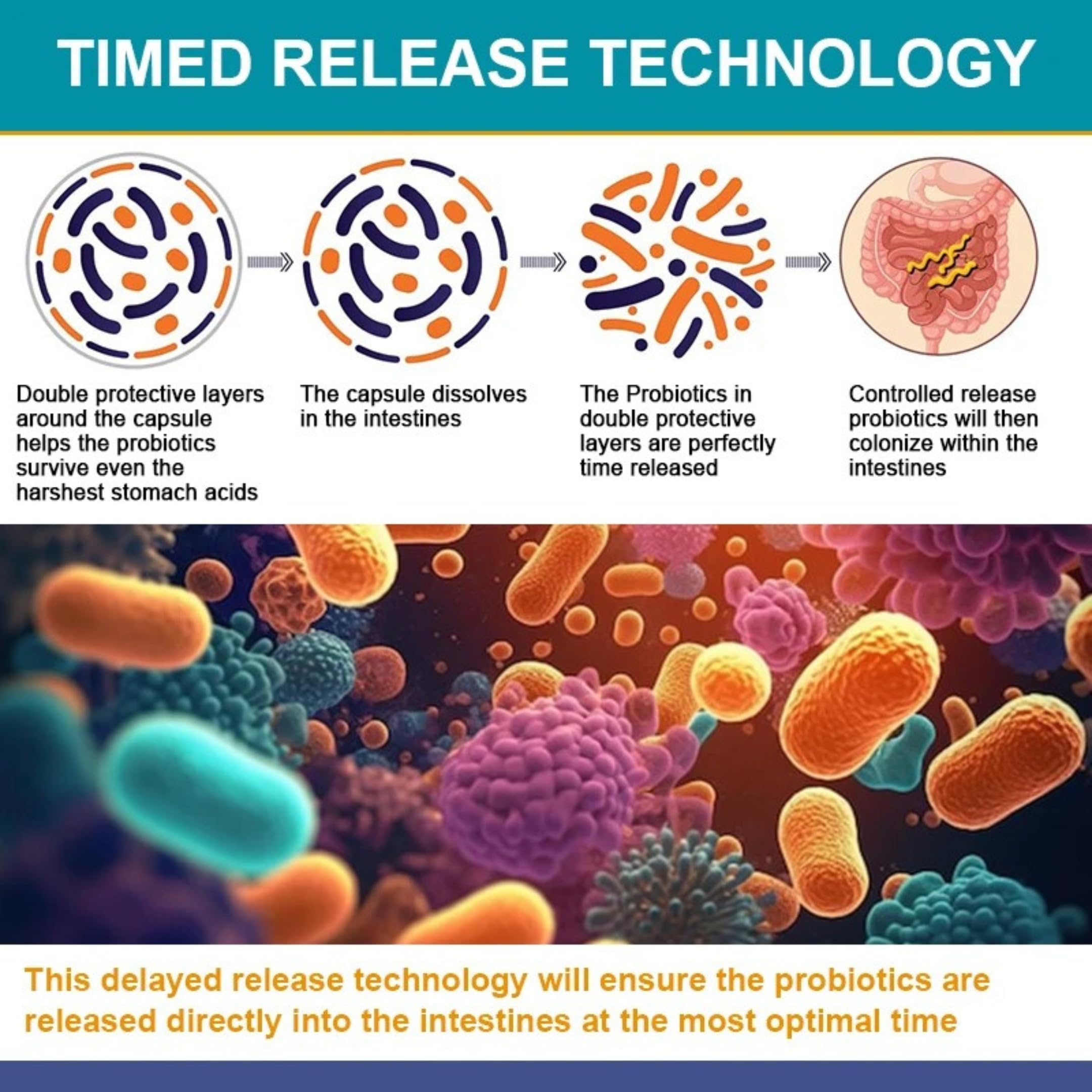 TheraSuva Fruit & Veggie complex image signals immune-friendly nourishment and viability of probiotics