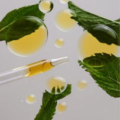 Therrootbrands Root Wellness Clean Slate mouth-take demonstrating direct oral use.