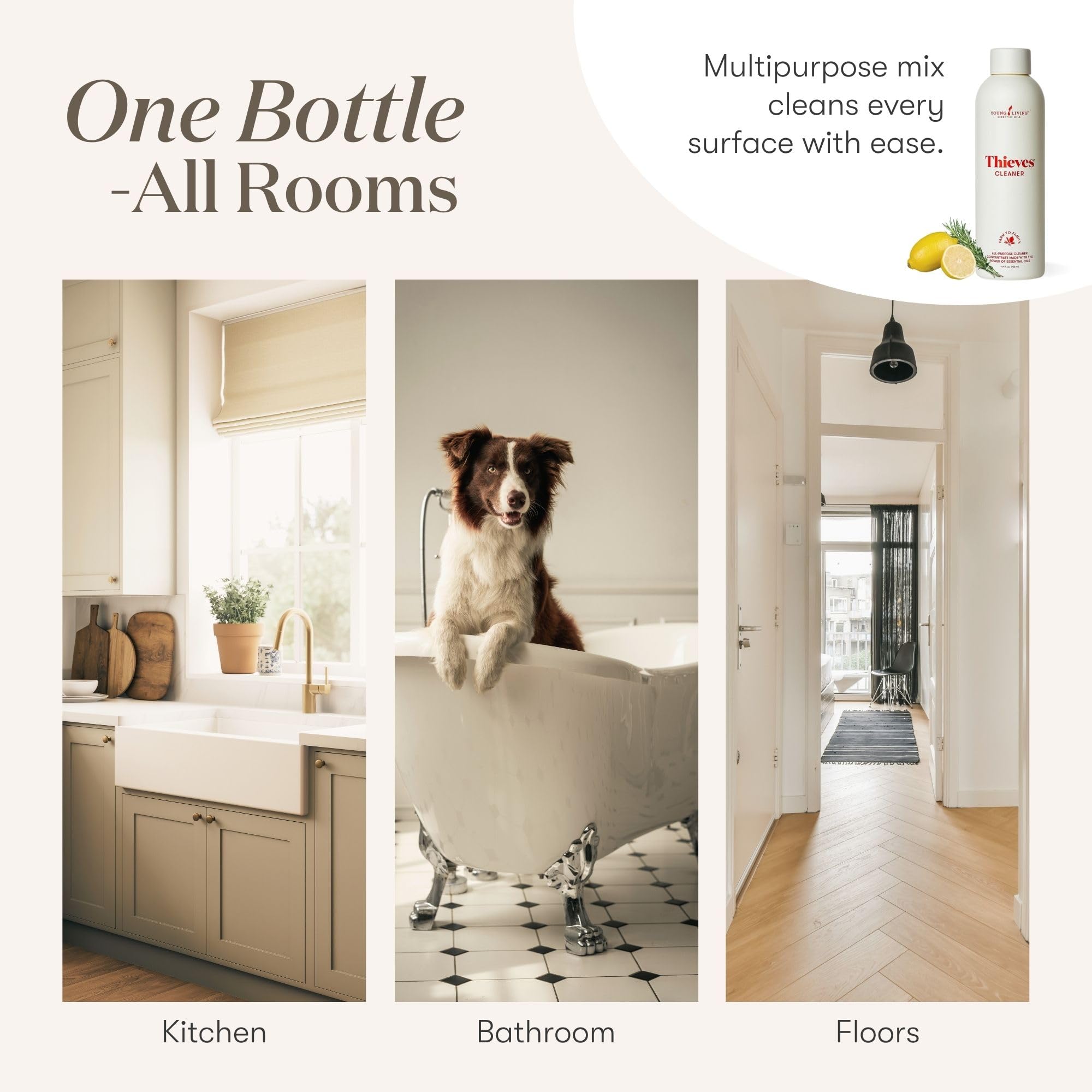 Thieves cleaner in mirror area for a streak-free shine.