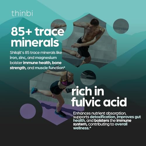 Thinbi Shilajit Capsules origin graphic featuring GilgitBaltistan mountains