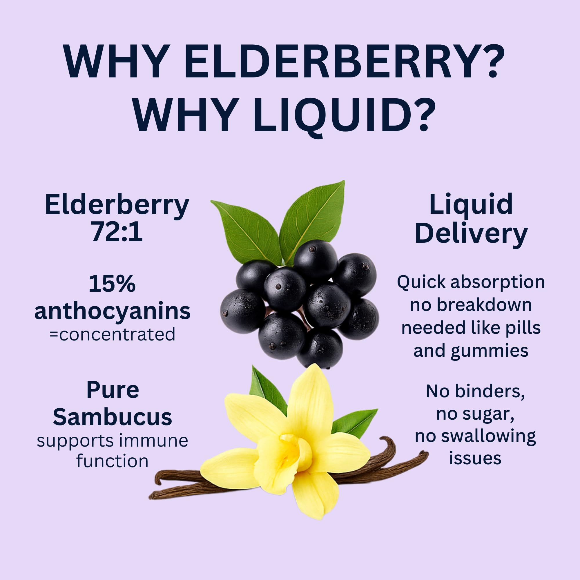 Think Above Elderberry Liquid Drops vanilla infusion for plant-based immune support