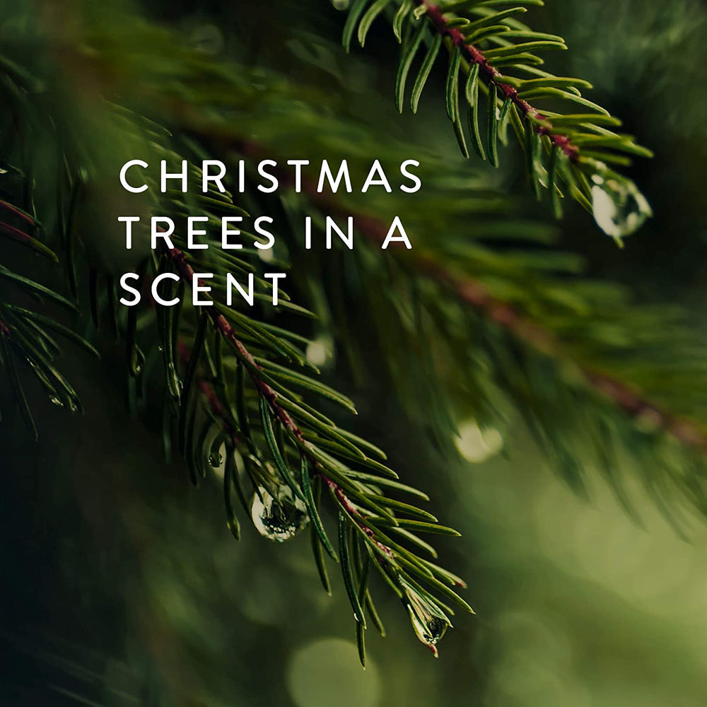 Thymes Frasier Fir highlights cedarwood and sandalwood for warmth.