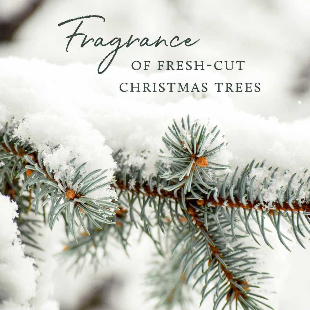 Thymes Frasier Fir candle decor looks sophisticated in any room