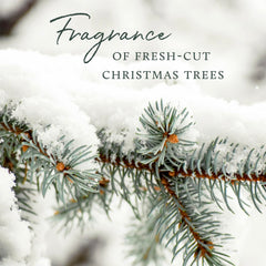 Thymes Frasier Fir candle decor looks sophisticated in any room