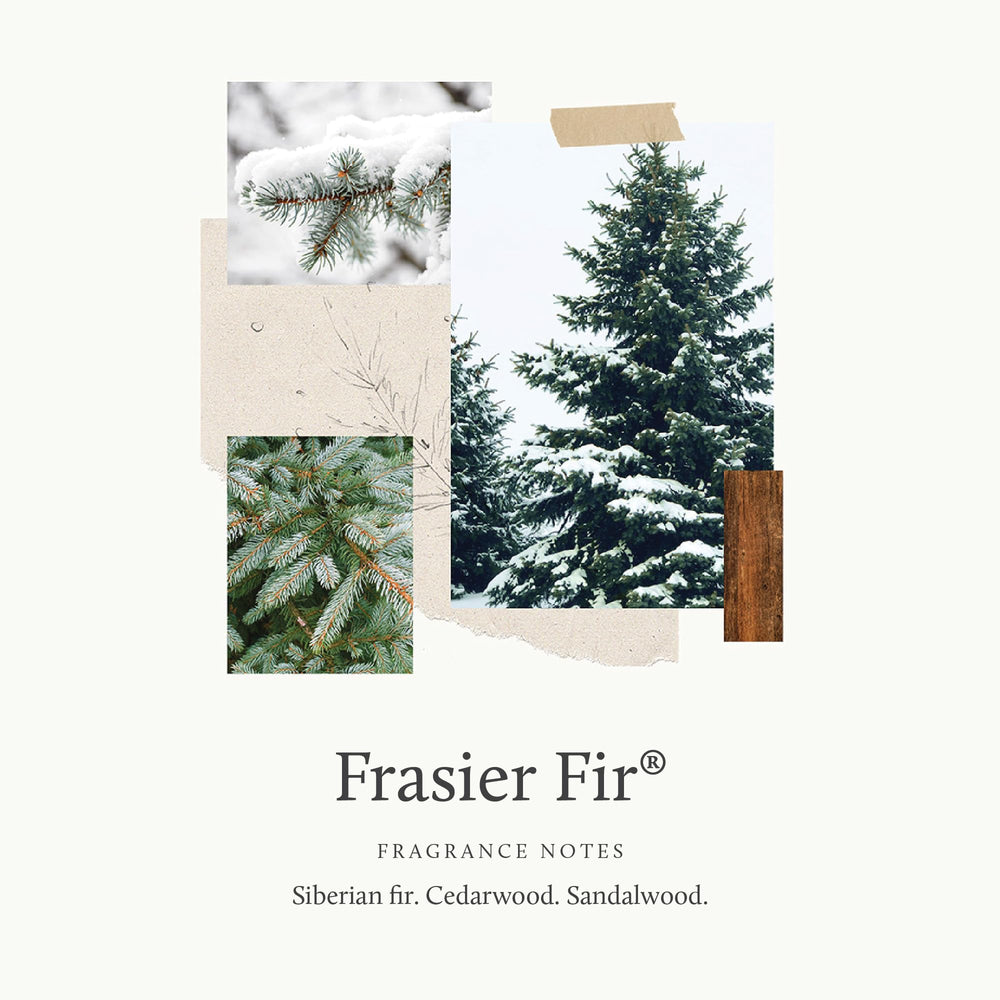 Thymes Frasier Fir fragrance delivers Siberian fir needles for cozy spaces