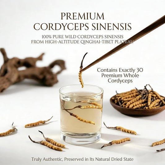 TibetCloud 30-piece Cordyceps sinensis set for reliable uses