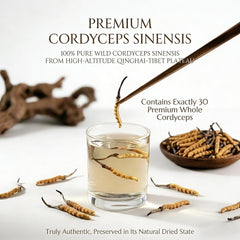 TibetCloud 30-piece Cordyceps sinensis set for reliable uses