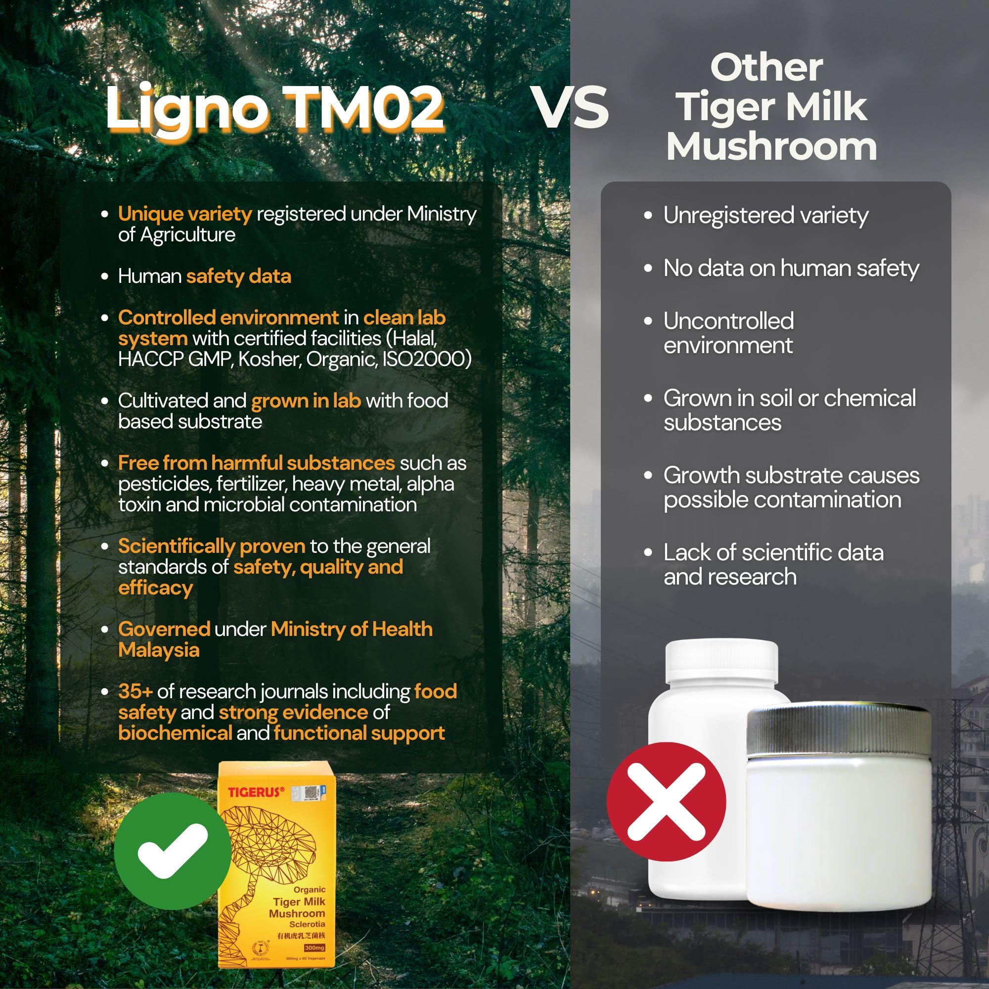 Tigerus Tiger Milk Mushroom 60-vegecaps pack suggests a sustained wellness routine.