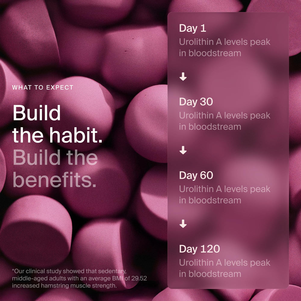 Timeline Mitopure Gummies dosage scene with two gummies for daily intake