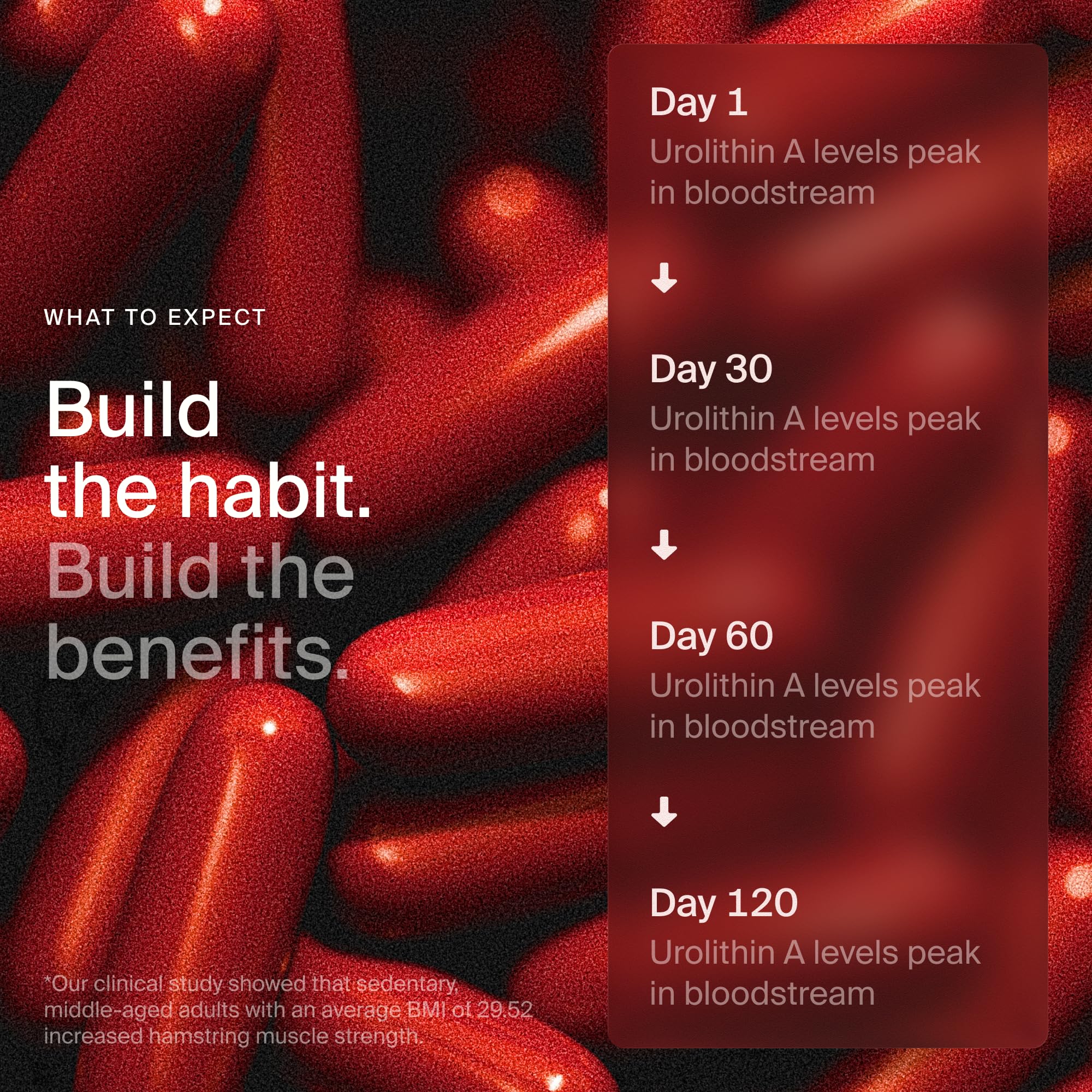 Packaging of Timeline Mitopure softgels with clear ingredient details.