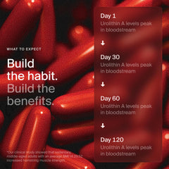 Packaging of Timeline Mitopure softgels with clear ingredient details.