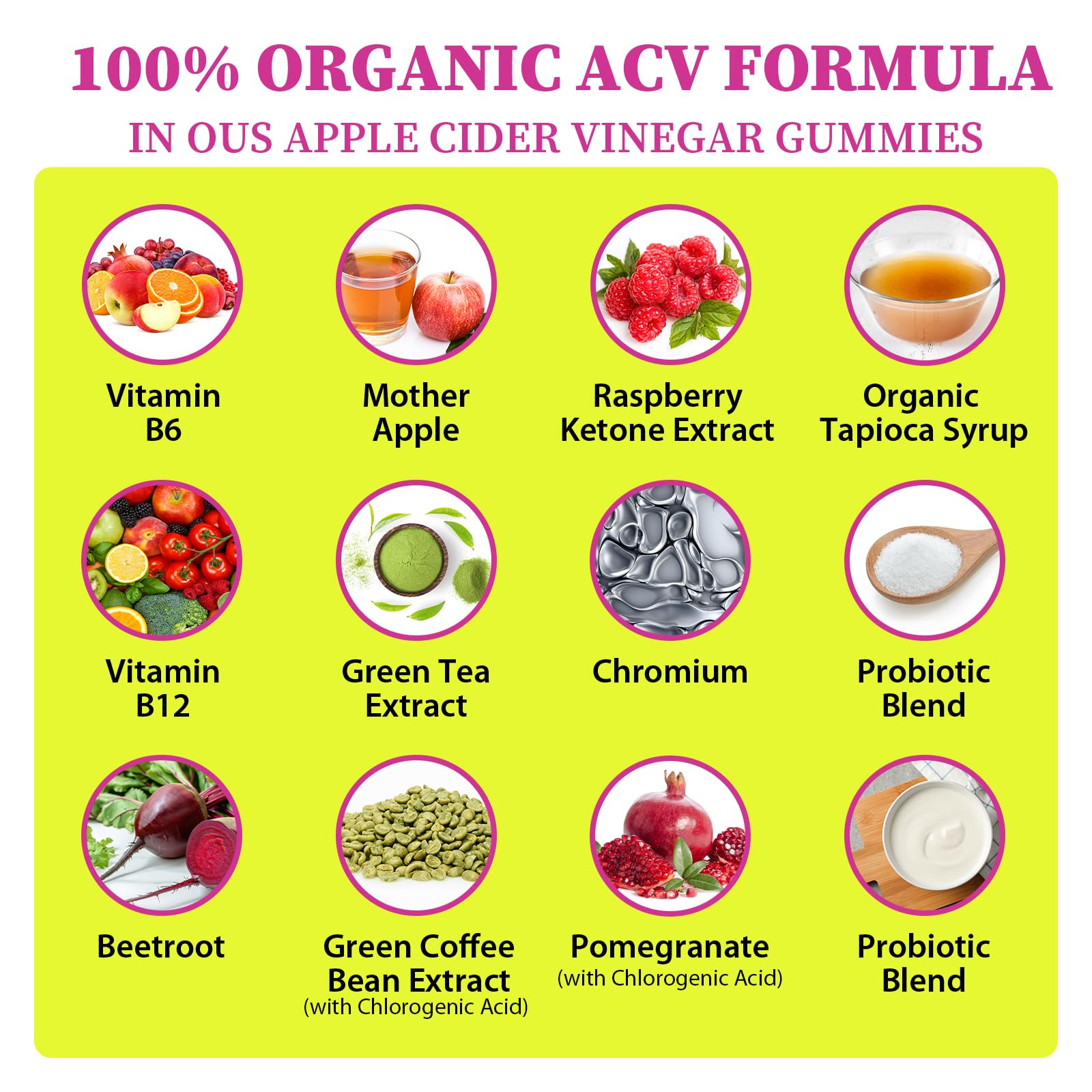 Tisestence ACV gummies probiotic strains illustration for digestive balance.