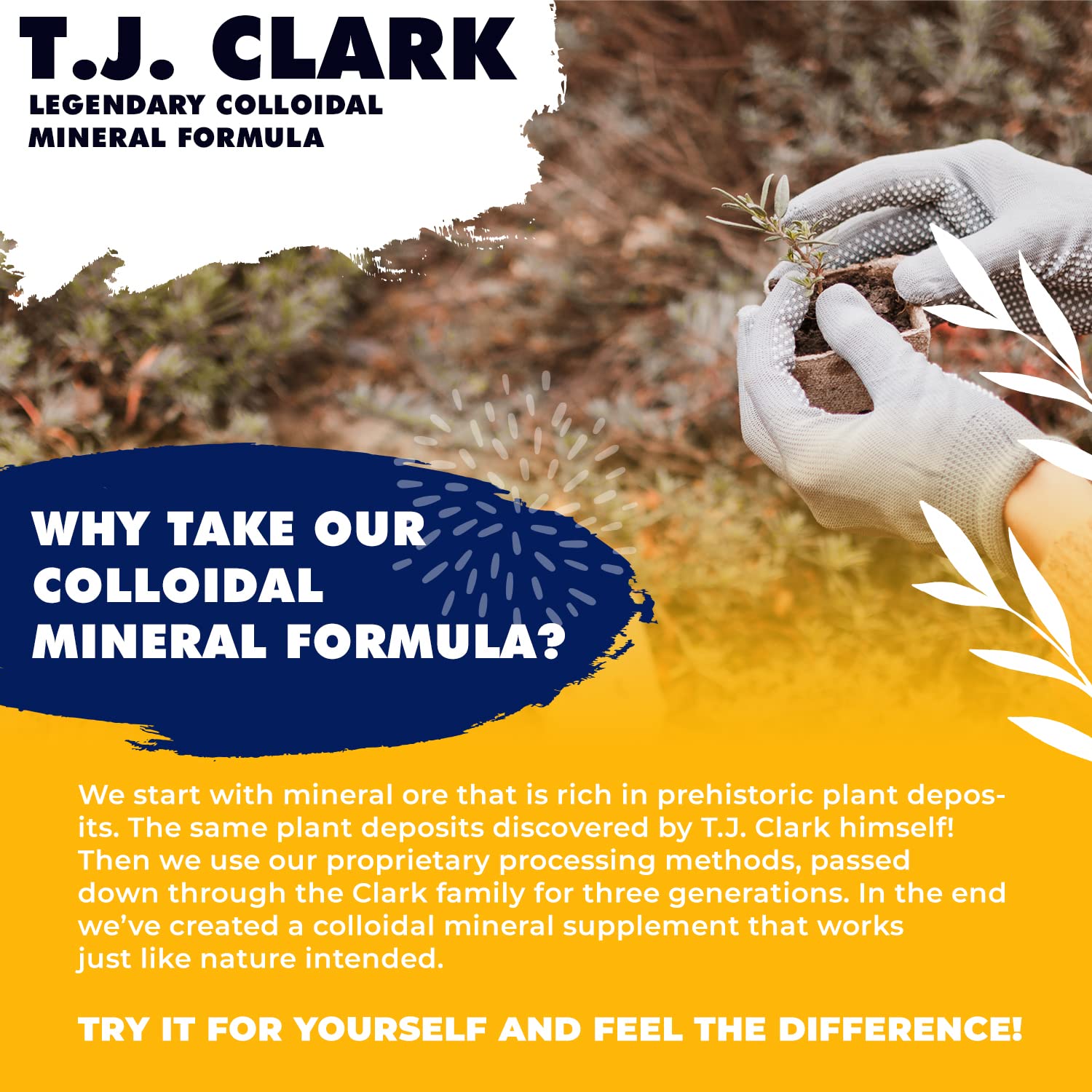 T.J. Clark Legendary minerals graphic shows 72 naturally occurring trace minerals