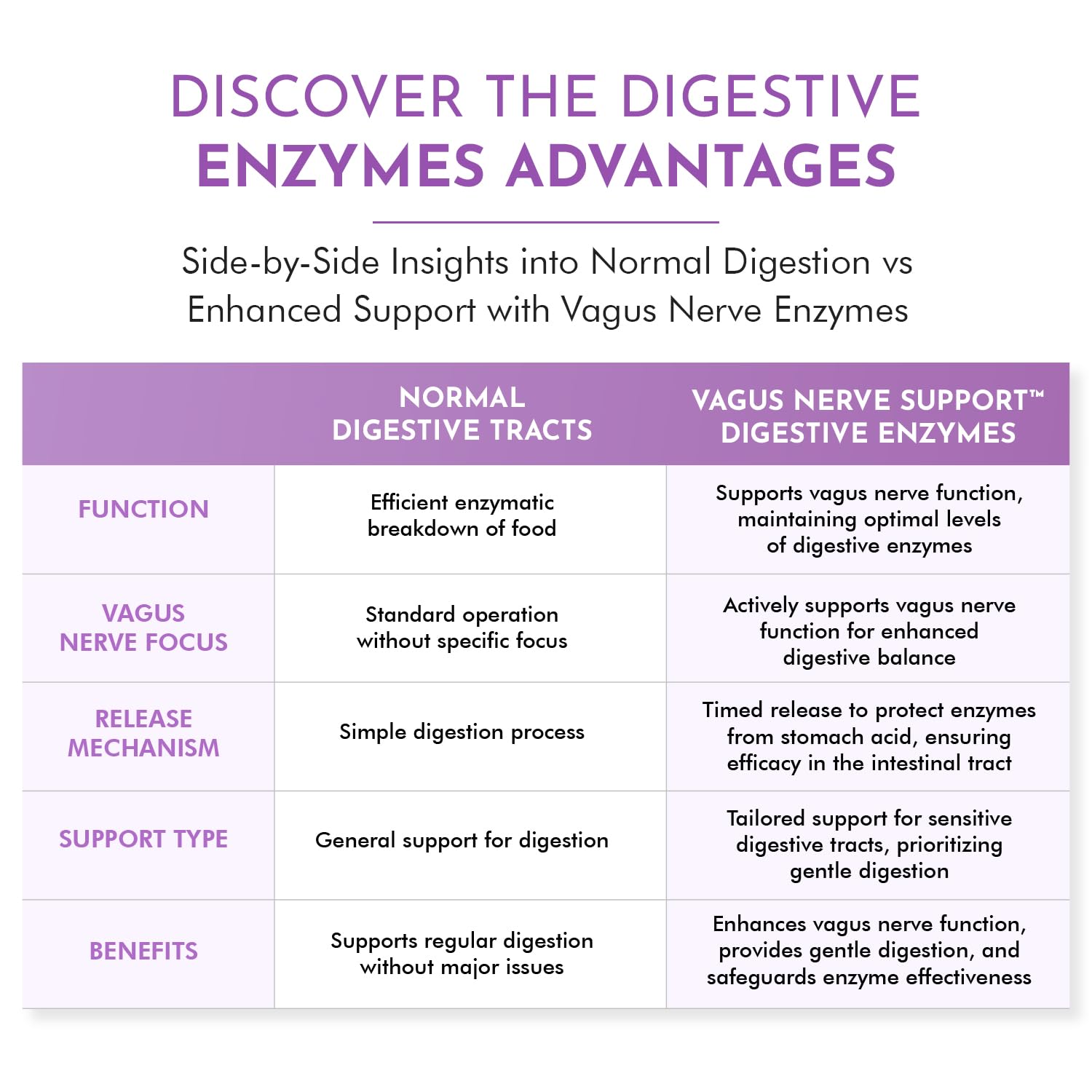 TJ Nutrition Digestive Enzymes capsules aid nutrient uptake during everyday meals.
